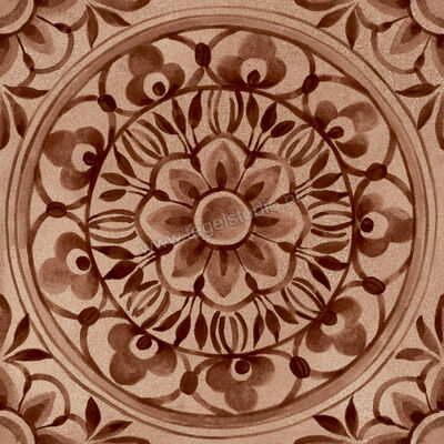  Ragno Amuri Cotto 20x20 cm Decor Pizzo Mat Vlak Naturale RC7T | 365119