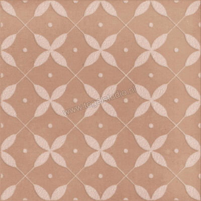  Ragno Amuri Cotto 20x20 cm Decor Zucchero Mat Vlak Naturale RC8A | 365194