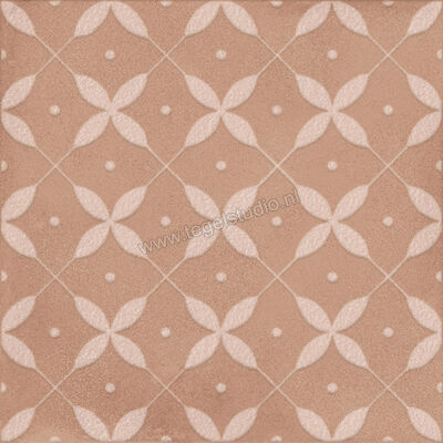 Ragno Amuri Cotto 20x20 cm Decor Zucchero Mat Vlak Naturale RC8A | 365197