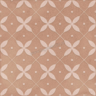  Ragno Amuri Cotto 20x20 cm Decor Zucchero Mat Vlak Naturale RC8A | 365200