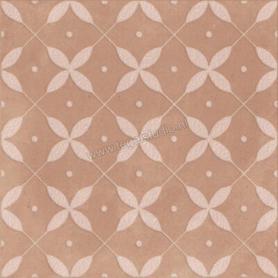  Ragno Amuri Cotto 20x20 cm Decor Zucchero Mat Vlak Naturale RC8A | 365203