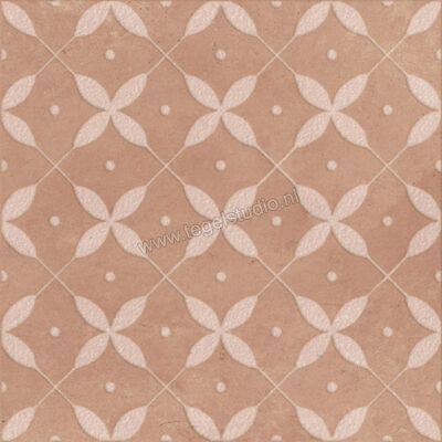  Ragno Amuri Cotto 20x20 cm Decor Zucchero Mat Vlak Naturale RC8A | 365206