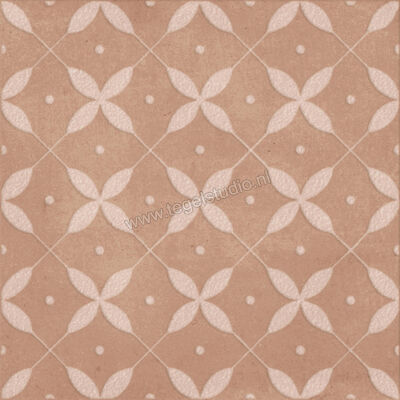  Ragno Amuri Cotto 20x20 cm Decor Zucchero Mat Vlak Naturale RC8A | 365209