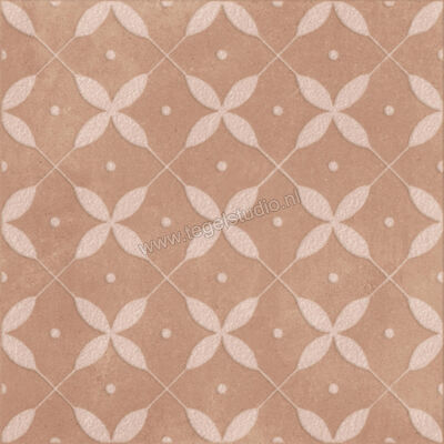  Ragno Amuri Cotto 20x20 cm Decor Zucchero Mat Vlak Naturale RC8A | 365212