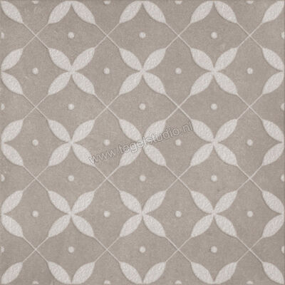  Ragno Amuri Grigio 20x20 cm Decor Zucchero Mat Vlak Naturale RC8D | 365218