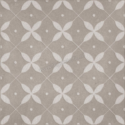  Ragno Amuri Grigio 20x20 cm Decor Zucchero Mat Vlak Naturale RC8D | 365221