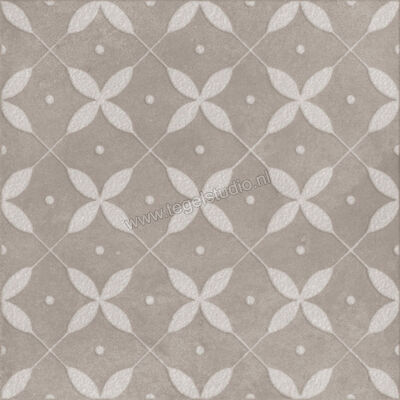  Ragno Amuri Grigio 20x20 cm Decor Zucchero Mat Vlak Naturale RC8D | 365224