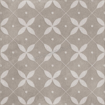  Ragno Amuri Grigio 20x20 cm Decor Zucchero Mat Vlak Naturale RC8D | 365227