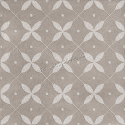  Ragno Amuri Grigio 20x20 cm Decor Zucchero Mat Vlak Naturale RC8D | 365230