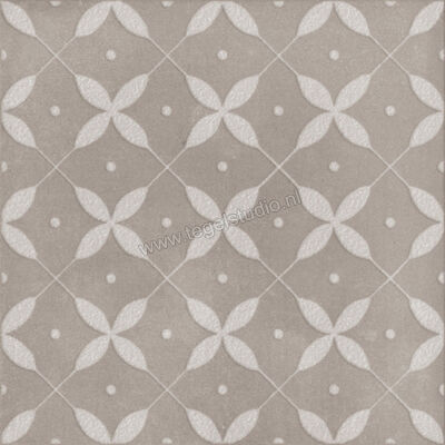  Ragno Amuri Grigio 20x20 cm Decor Zucchero Mat Vlak Naturale RC8D | 365236