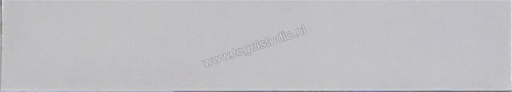  Ragno Amuri Bianco 5.3x30 cm Vloertegel / Wandtegel Glanzend Vlak Naturale RC8M | 365284