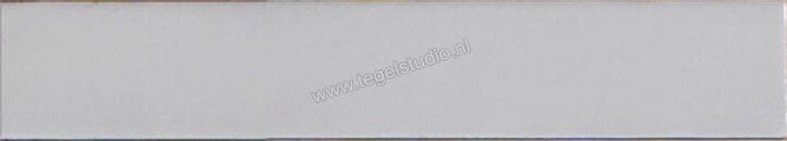  Ragno Amuri Bianco 5.3x30 cm Vloertegel / Wandtegel Glanzend Vlak Naturale RC8M | 365287