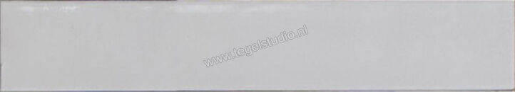  Ragno Amuri Bianco 5.3x30 cm Vloertegel / Wandtegel Glanzend Vlak Naturale RC8M | 365290