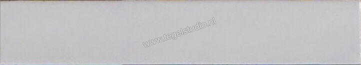  Ragno Amuri Bianco 5.3x30 cm Vloertegel / Wandtegel Glanzend Vlak Naturale RC8M | 365293