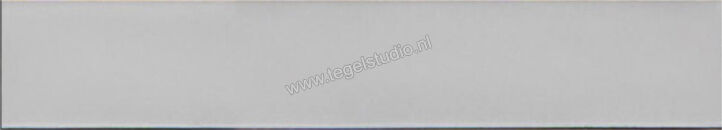  Ragno Amuri Bianco 5.3x30 cm Vloertegel / Wandtegel Glanzend Vlak Naturale RC8M | 365296