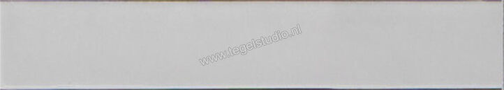  Ragno Amuri Bianco 5.3x30 cm Vloertegel / Wandtegel Glanzend Vlak Naturale RC8M | 365299