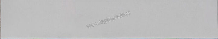  Ragno Amuri Bianco 5.3x30 cm Vloertegel / Wandtegel Glanzend Vlak Naturale RC8M | 365302