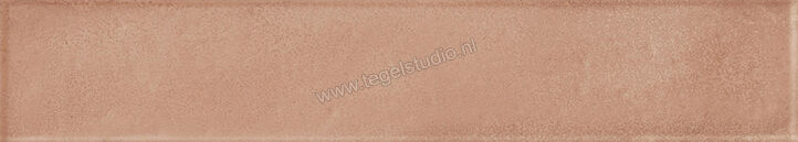  Ragno Amuri Cotto 5.3x30 cm Vloertegel / Wandtegel Mat Vlak Naturale RC8R | 365359