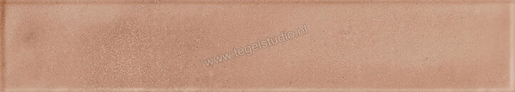  Ragno Amuri Cotto 5.3x30 cm Vloertegel / Wandtegel Mat Vlak Naturale RC8R | 365362