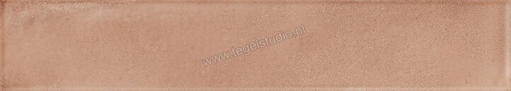  Ragno Amuri Cotto 5.3x30 cm Vloertegel / Wandtegel Mat Vlak Naturale RC8R | 365368