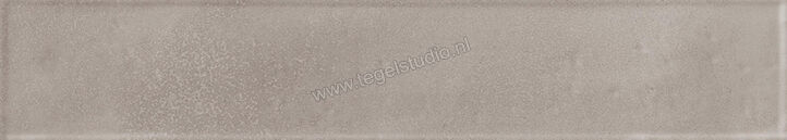  Ragno Amuri Grigio 5.3x30 cm Vloertegel / Wandtegel Mat Vlak Naturale RC8T | 365386