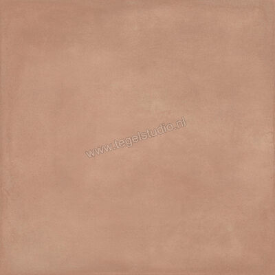  Ragno Amuri Cotto 60x60 cm Vloertegel / Wandtegel Mat Vlak Naturale RC8Y | 365458