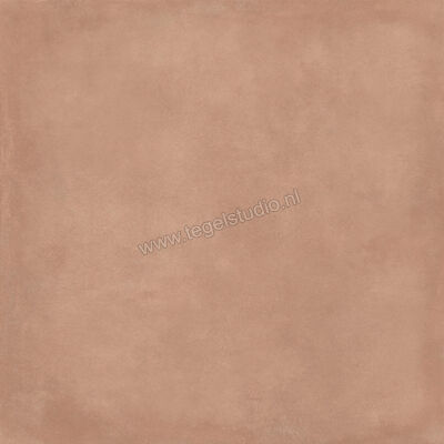  Ragno Amuri Cotto 60x60 cm Vloertegel / Wandtegel Mat Vlak Naturale RC8Y | 365461