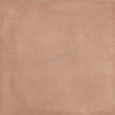  Ragno Amuri Cotto 60x60 cm Vloertegel / Wandtegel Mat Vlak Naturale RC8Y | 365473