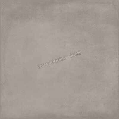  Ragno Amuri Grigio 60x60 cm Vloertegel / Wandtegel Mat Vlak Naturale RC90 | 365482