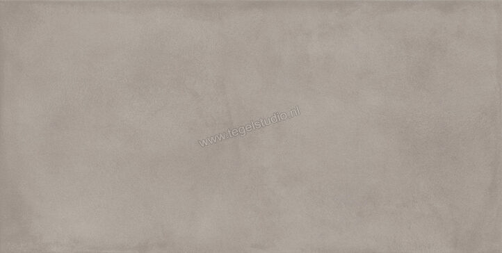  Ragno Amuri Grigio 60x120 cm Vloertegel / Wandtegel Mat Vlak Naturale RCPF | 365515