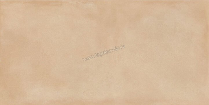  Ragno Amuri Biscotto 60x120 cm Vloertegel / Wandtegel Mat Vlak Naturale RCPH | 365530