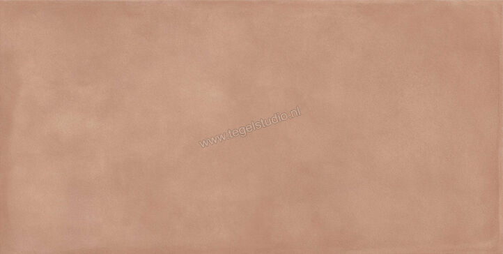  Ragno Amuri Cotto 60x120 cm Vloertegel / Wandtegel Mat Vlak Naturale RCPK | 365575