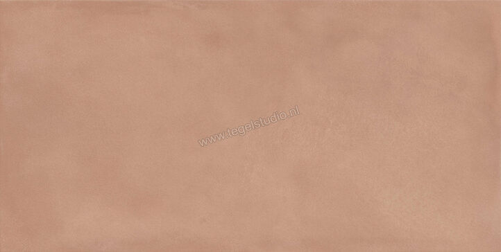  Ragno Amuri Cotto 60x120 cm Vloertegel / Wandtegel Mat Vlak Naturale RCPK | 365578