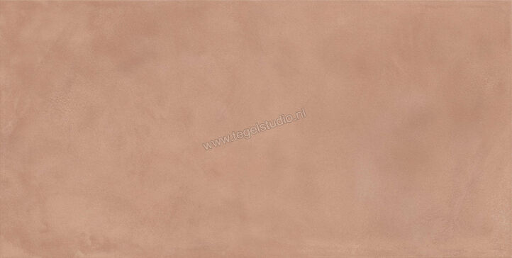  Ragno Amuri Cotto 60x120 cm Vloertegel / Wandtegel Mat Vlak Naturale RCPK | 365581