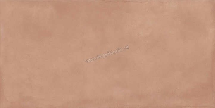  Ragno Amuri Cotto 60x120 cm Vloertegel / Wandtegel Mat Vlak Naturale RCPK | 365584