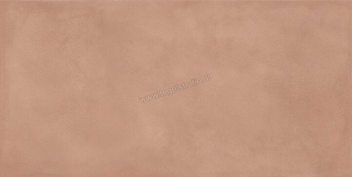  Ragno Amuri Cotto 60x120 cm Vloertegel / Wandtegel Mat Vlak Naturale RCPK | 365587