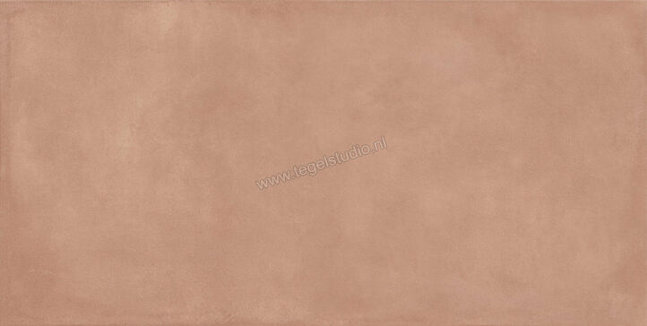  Ragno Amuri Cotto 60x120 cm Vloertegel / Wandtegel Mat Vlak Naturale RCPK | 365593
