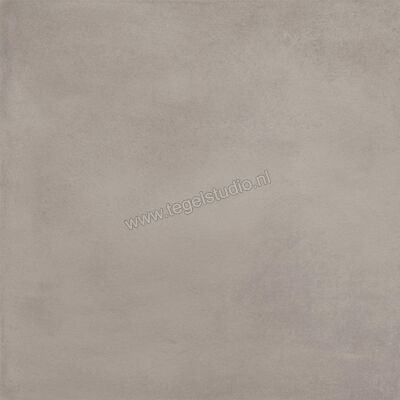  Ragno Amuri Grigio 60x60 cm Vloertegel / Wandtegel Mat Vlak Naturale RCPL | 365596