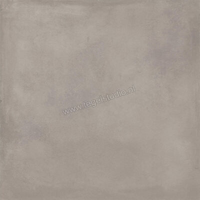  Ragno Amuri Grigio 60x60 cm Vloertegel / Wandtegel Mat Vlak Naturale RCPL | 365599