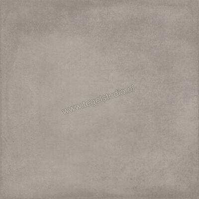  Ragno Amuri Grigio 60x60 cm Vloertegel / Wandtegel Mat Vlak Naturale RCPL | 365602