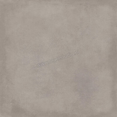  Ragno Amuri Grigio 60x60 cm Vloertegel / Wandtegel Mat Vlak Naturale RCPL | 365605