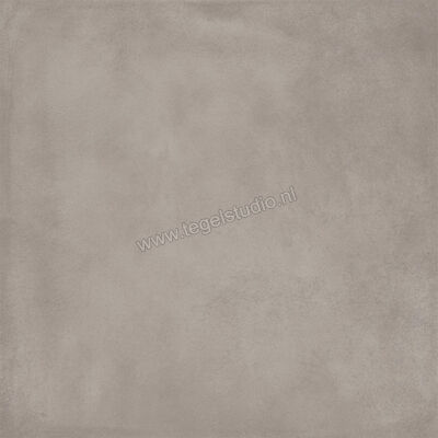  Ragno Amuri Grigio 60x60 cm Vloertegel / Wandtegel Mat Vlak Naturale RCPL | 365608