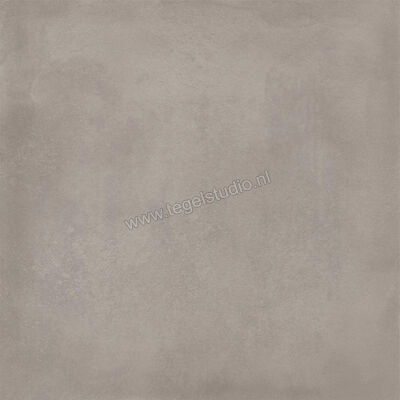  Ragno Amuri Grigio 60x60 cm Vloertegel / Wandtegel Mat Vlak Naturale RCPL | 365611