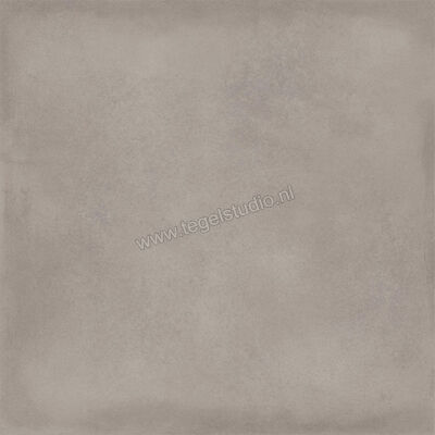  Ragno Amuri Grigio 60x60 cm Vloertegel / Wandtegel Mat Vlak Naturale RCPL | 365614