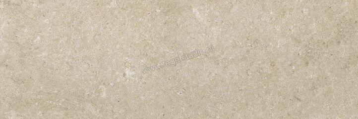  Ragno Eterna Greige 30x90 cm Wandtegel Mat Vlak Naturale R8J0 | 365824