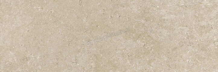  Ragno Eterna Greige 30x90 cm Wandtegel Mat Vlak Naturale R8J0 | 365839