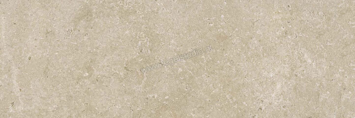  Ragno Eterna Greige 30x90 cm Wandtegel Mat Vlak Naturale R8J0 | 365842
