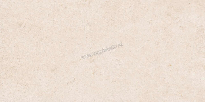  Ragno Eterna Blanco 60x120 cm Vloertegel / Wandtegel Mat Vlak Naturale R8JK | 365857
