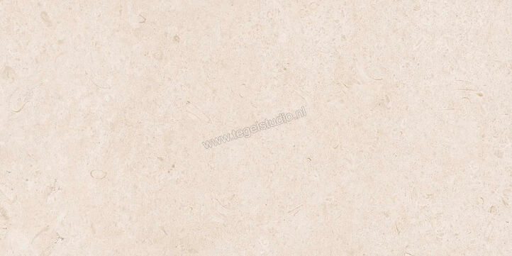  Ragno Eterna Blanco 60x120 cm Vloertegel / Wandtegel Mat Vlak Naturale R8JK | 365860