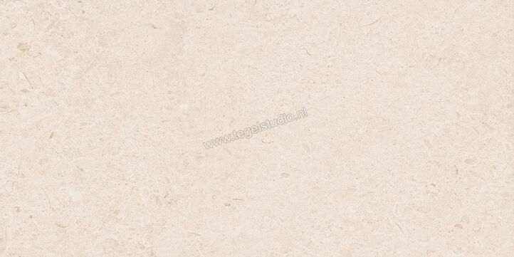  Ragno Eterna Blanco 60x120 cm Vloertegel / Wandtegel Mat Vlak Naturale R8JK | 365863